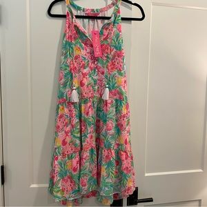NWT Lily Pulitzer dress size large